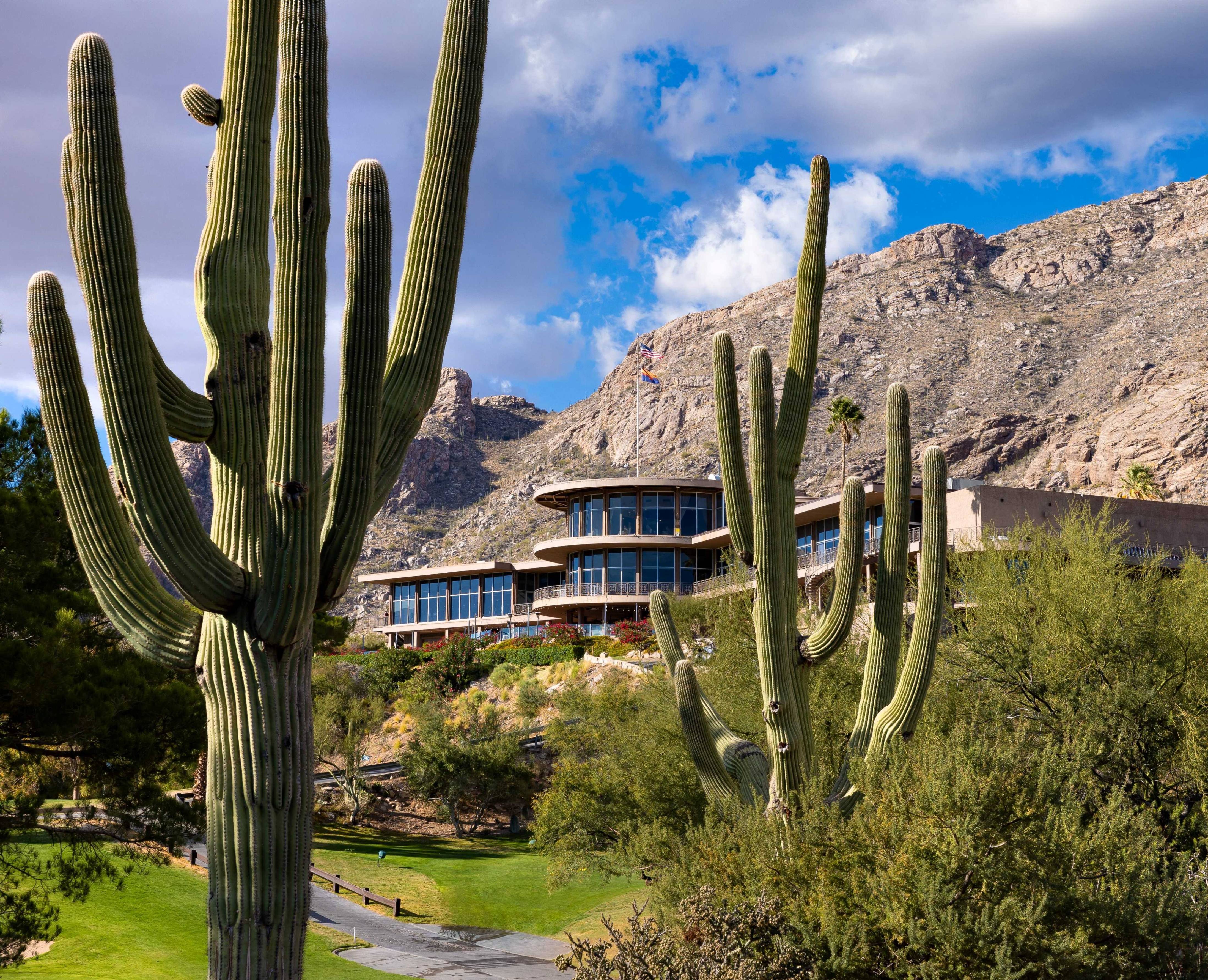 country club with mountains in the background